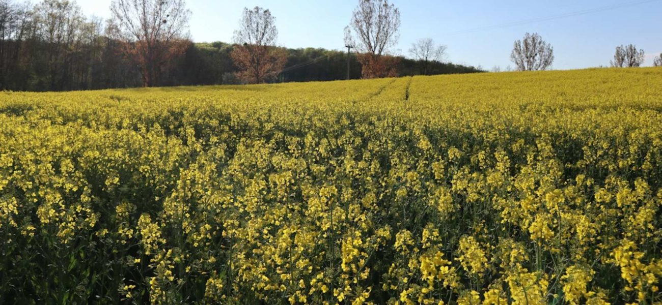 Kampiranje u ovoj zemlji doživjelo je procvat od 177% u odnosu na godinu prije
