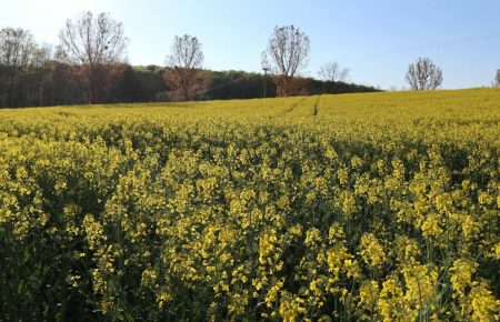 Kampiranje u ovoj zemlji doživjelo je procvat od 177% u odnosu na godinu prije
