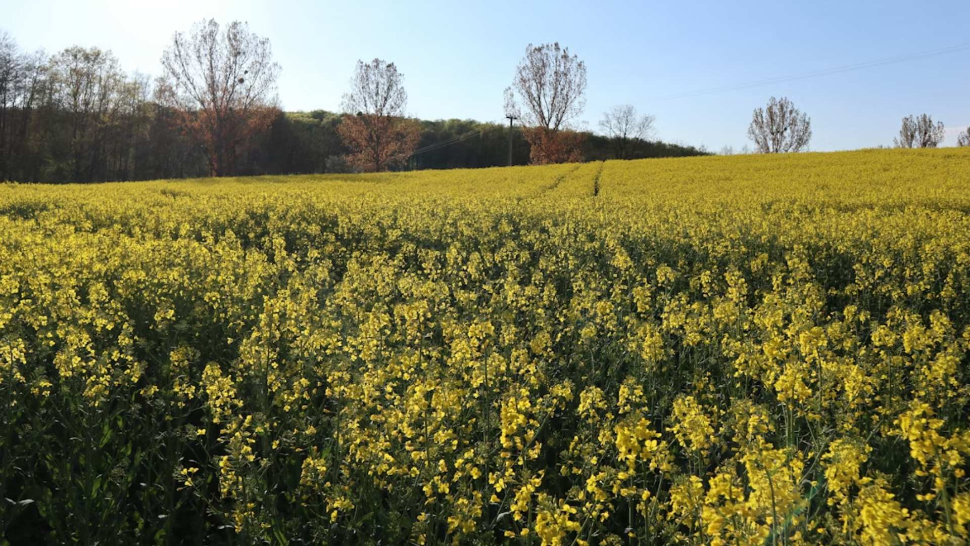 Kampiranje u ovoj zemlji doživjelo je procvat od 177% u odnosu na godinu prije