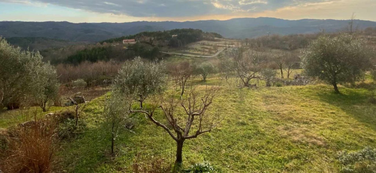 Najbolji jednodnevni izleti u Hrvatskoj: Gdje za vikend?