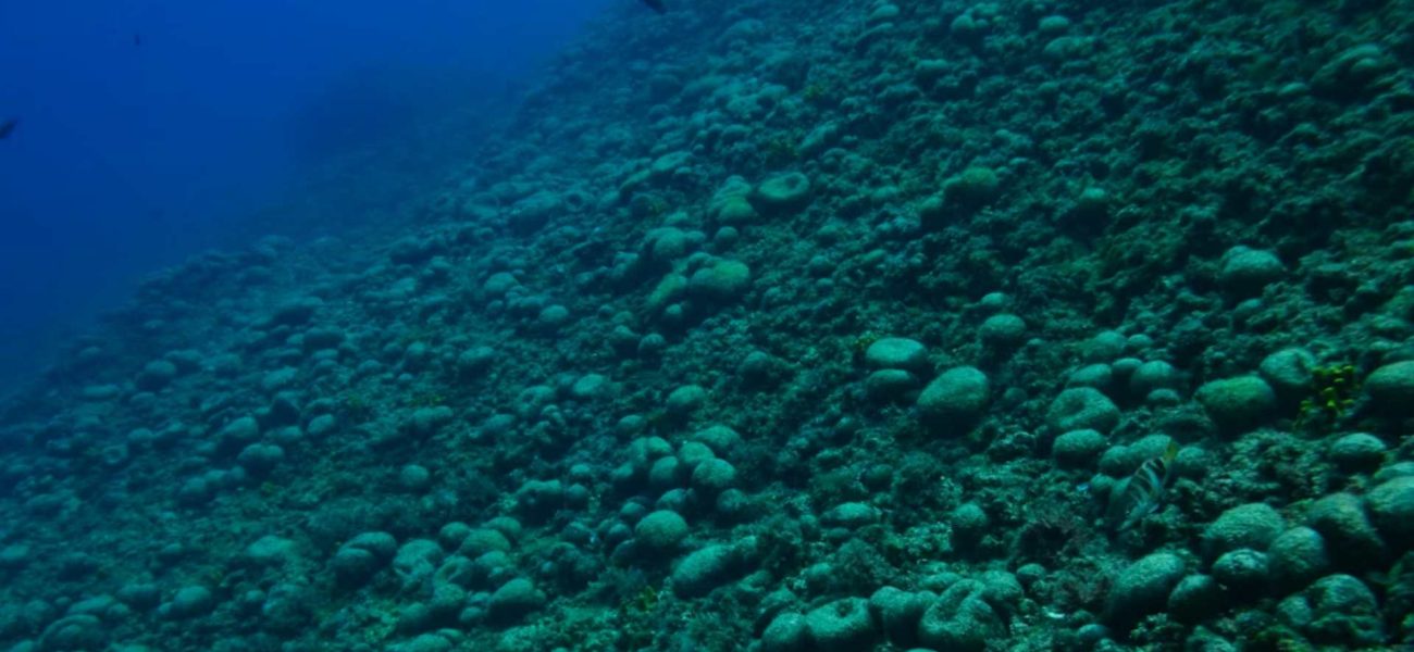 Ronjenje u Hrvatskoj: Najbolje lokacije, olupine i špilje Jadrana