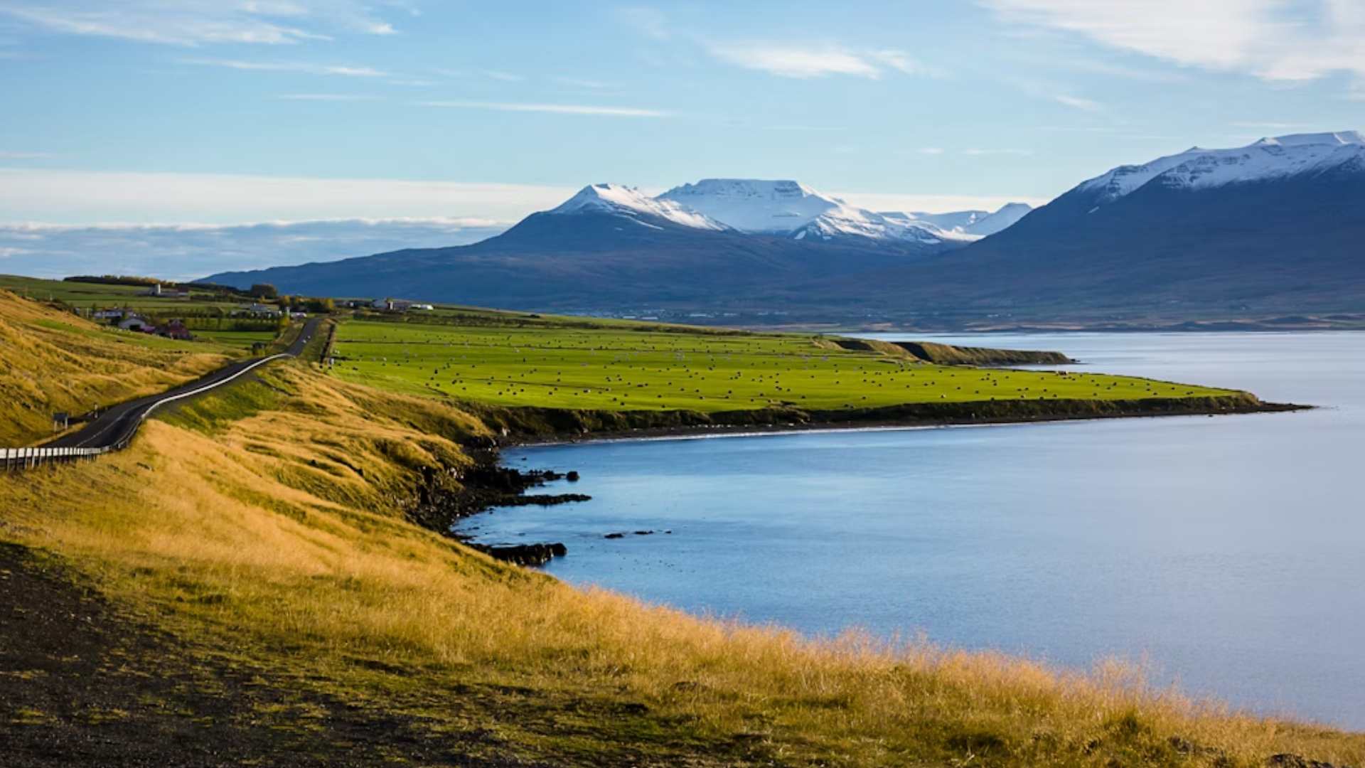 Hornstrandir: Putovanje u netaknutu divljinu